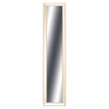 32" Champagne Gold Framed Accent Mirror