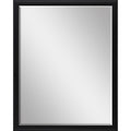 50" Black Solid Wood Framed Accent Mirror