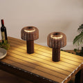 Set of Two 10" Clear USB Table Lamps With Globe Shades