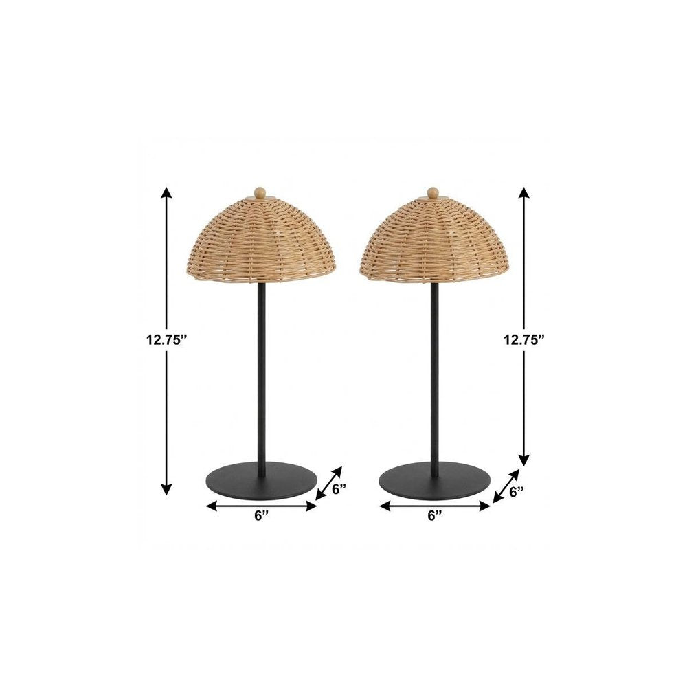 Set of Two 13" Black Novelty USB Table Lamps LED With Globe Shades